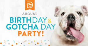 August Birthday Party - Bloomington