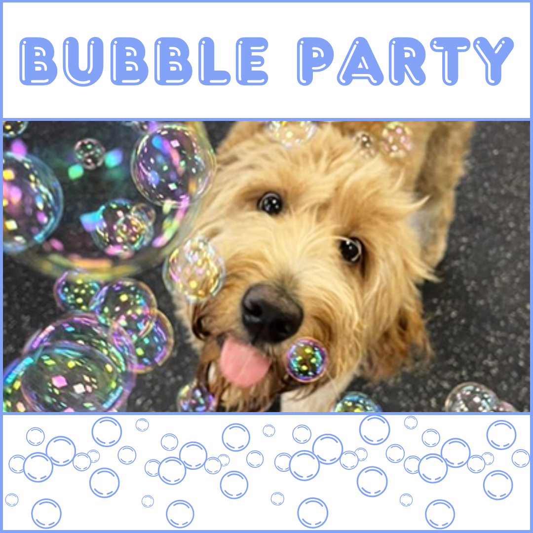Party Animal Boy Bubble