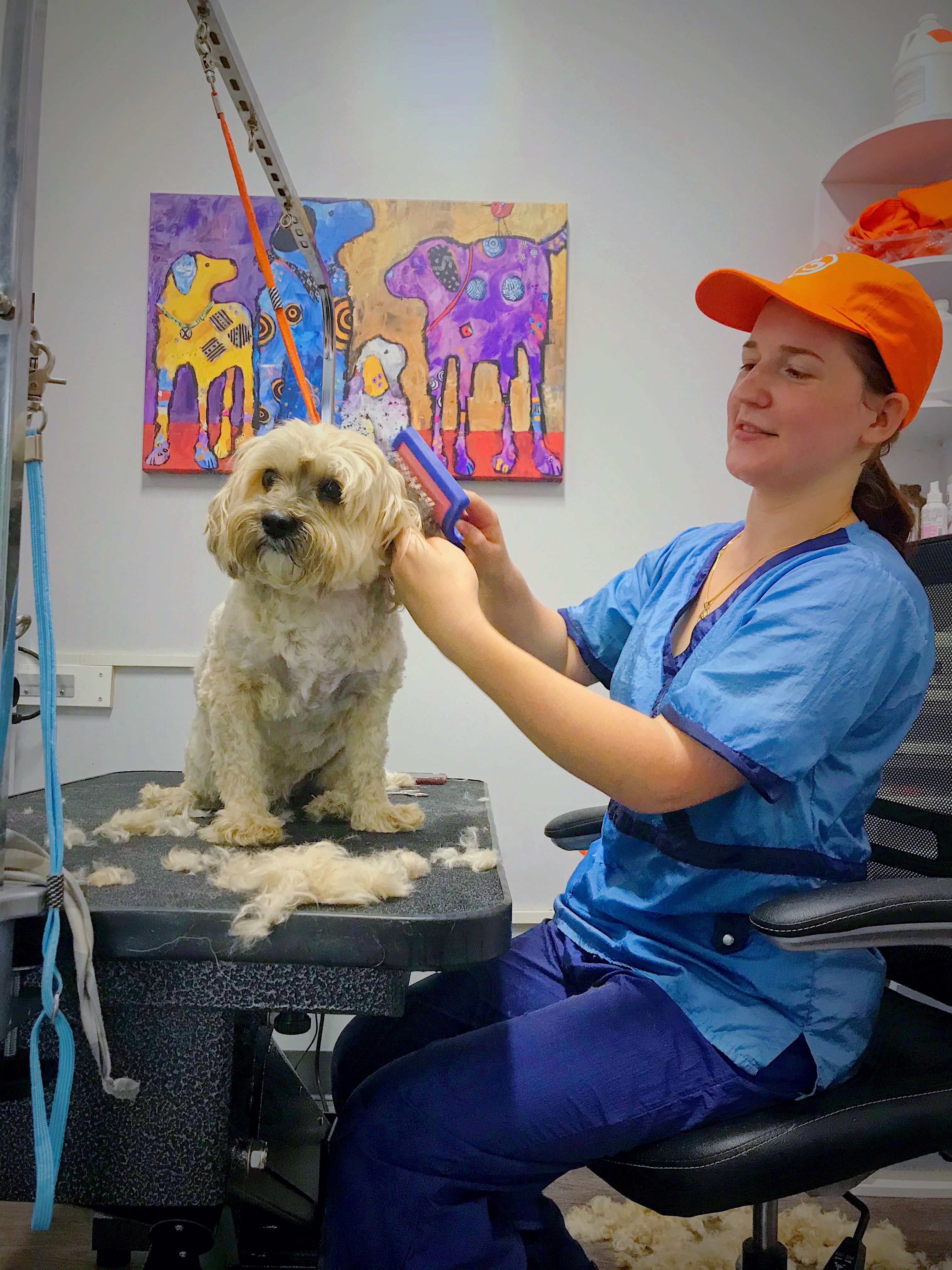 Grooming Carriage Crossing