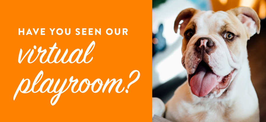 Have you seen our virtual playroom?