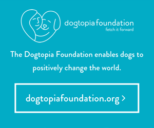 The Dogtopia Foundation enables dogs to positively change the world.