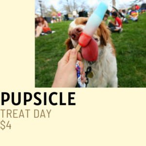 Pupsicle - Chesterfield