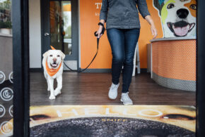 Dog and parent entering the Dogtopia lobby