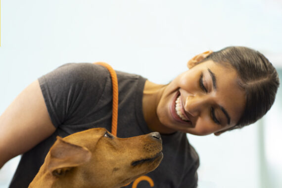 Dog in room with canine coach working on communication and why dogs bark