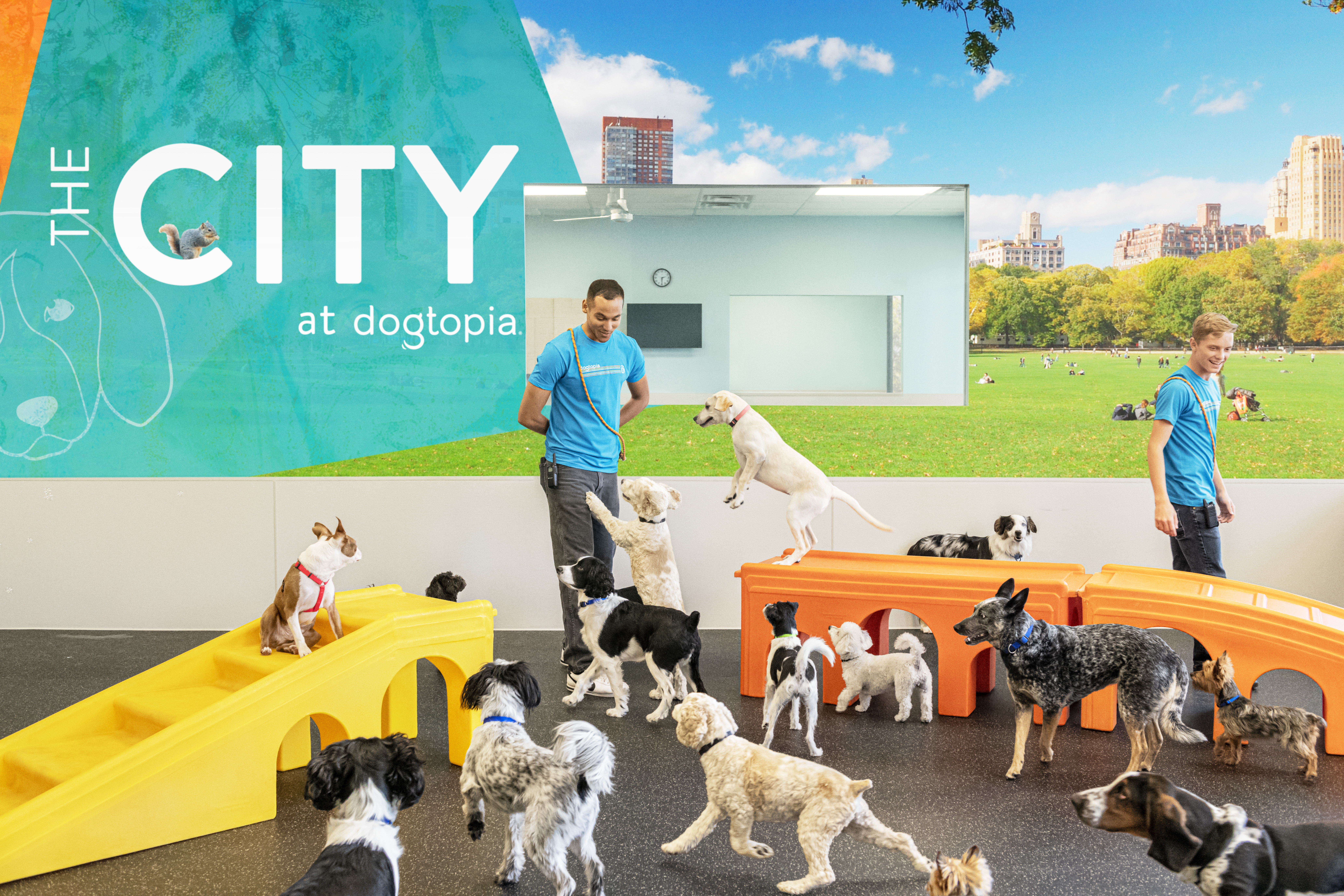 showing a Dogtopia of Viera playroom