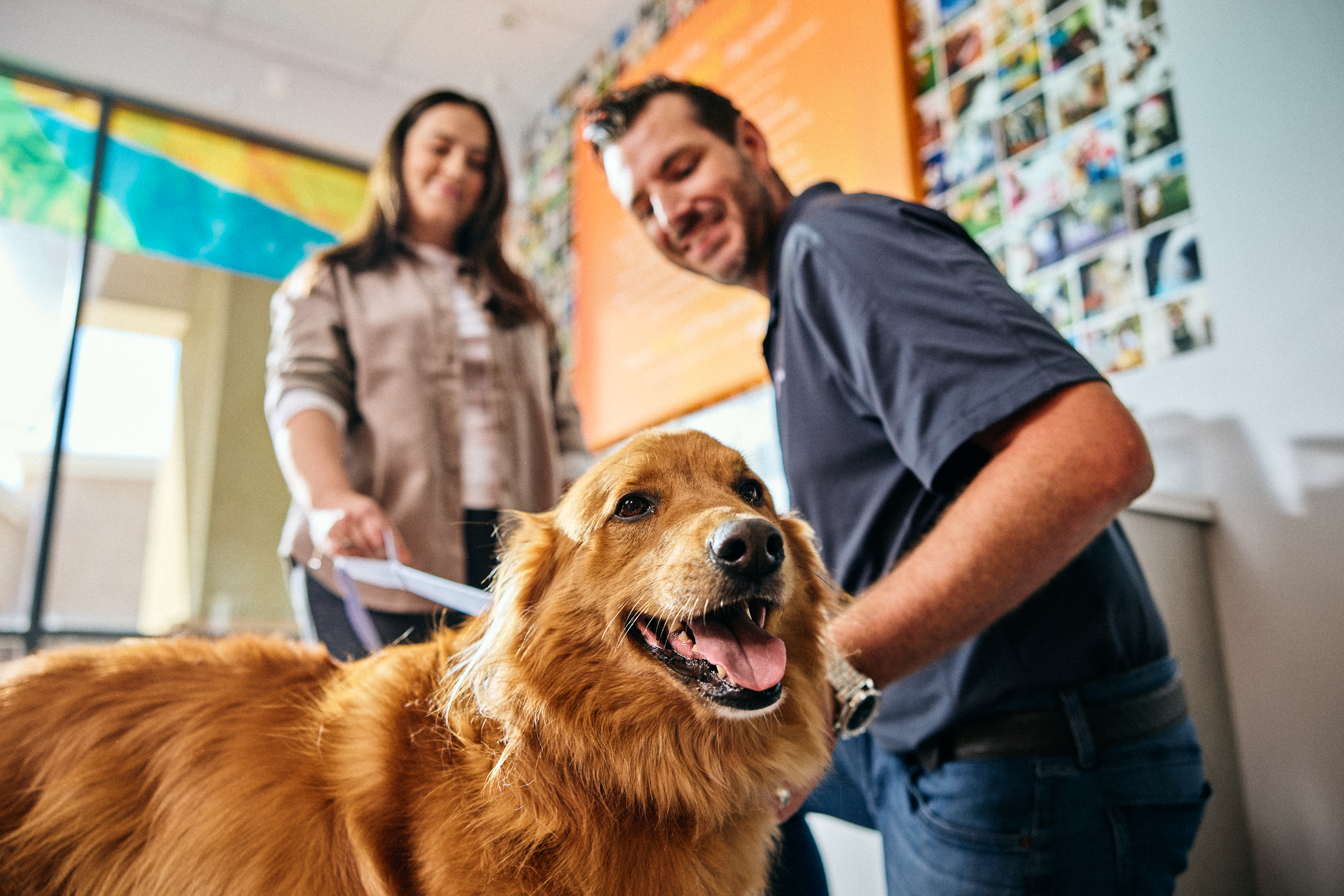 Canine Coach conducting a Dogtopia meet and greet with a new dog at Dogtopia of Viera