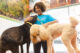 Canine Coach leading enrichment activities with dogs at Dogtopia of Viera dog daycare