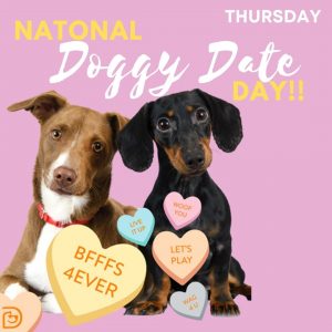 National Doggy Date Day - Nasa