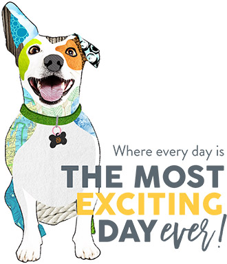 Where every day is the most exciting day ever!