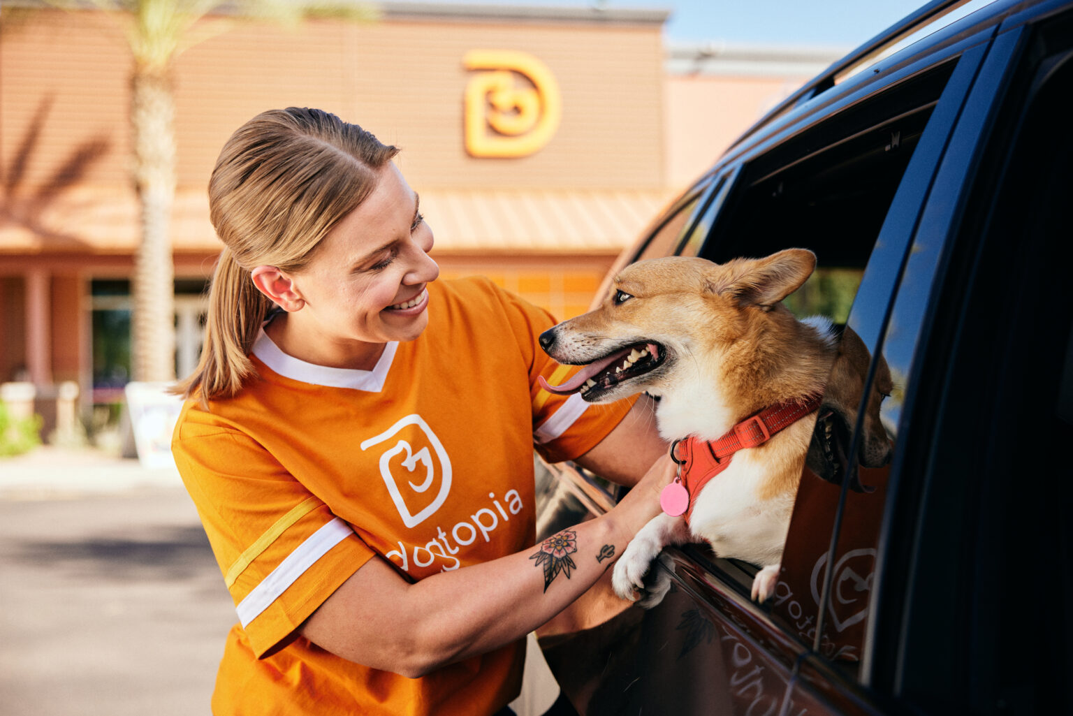 Female Dogtopia employee petting dog who's inside car that's outside of a Dogtopia location